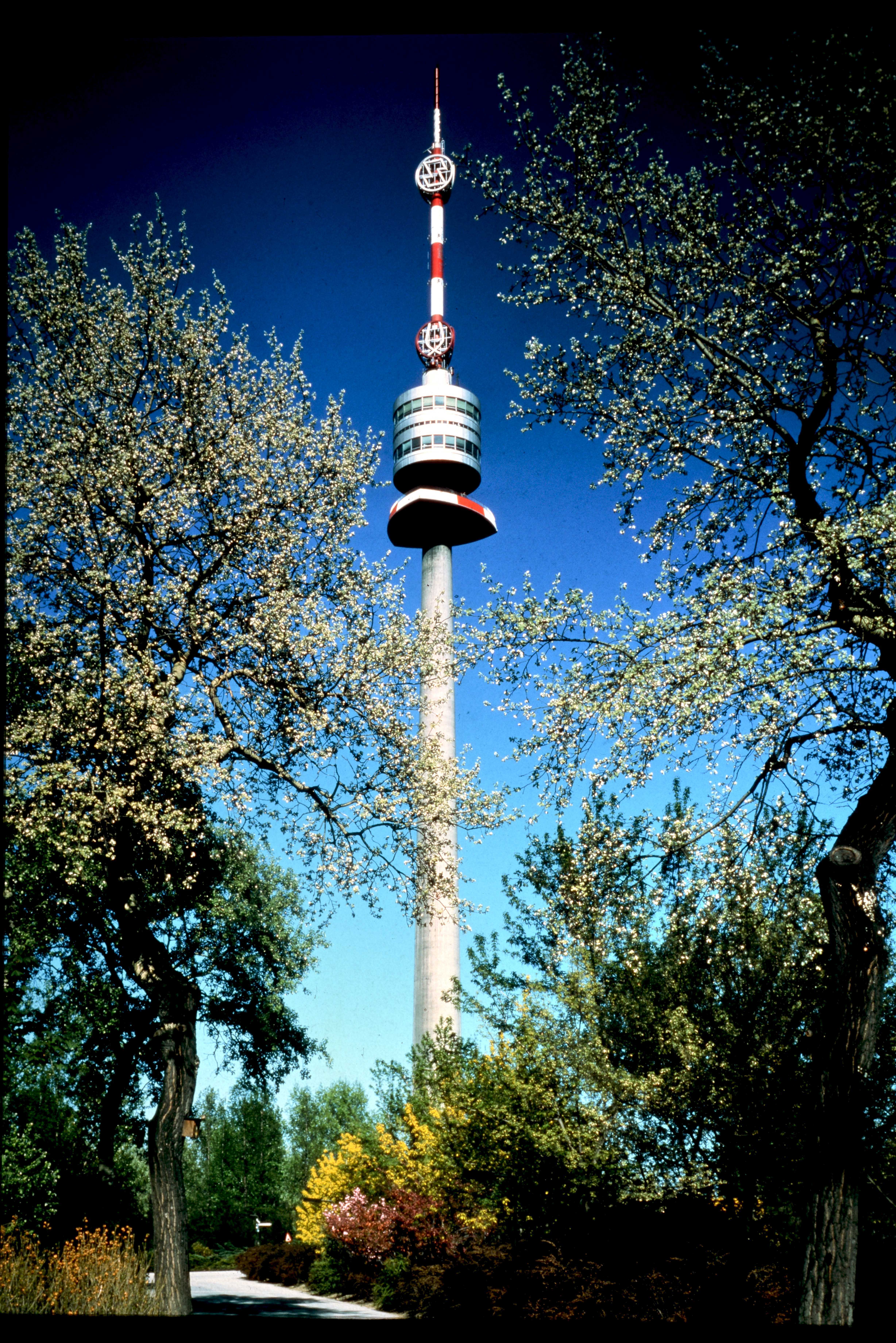 BF1_0870